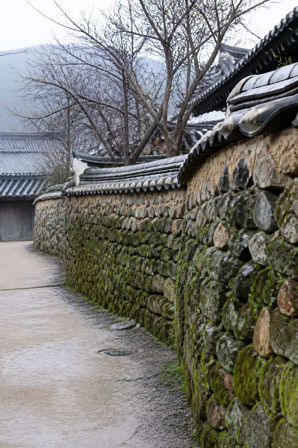 돌담과 기와